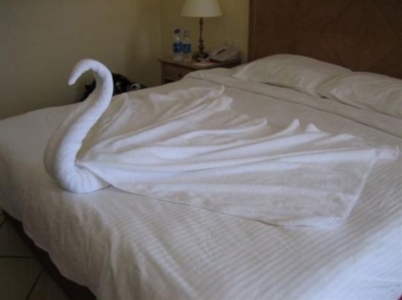 什么生物躺在我的床上！20张饭店的 [ 毛巾艺术 ]！